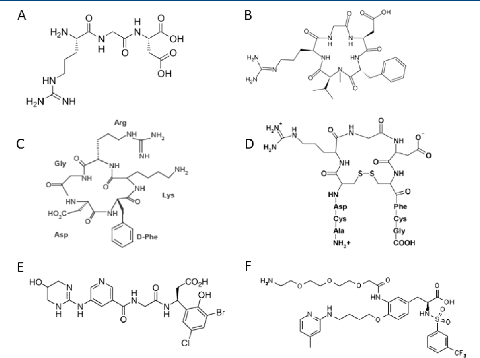 Rgd Based Strategies To Target Alpha V Beta 3 Integrin In Cancer