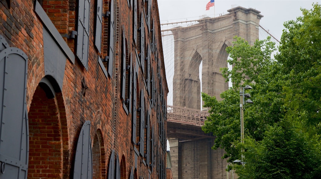 Downtown Brooklyn New York - Ernie Study Abroad